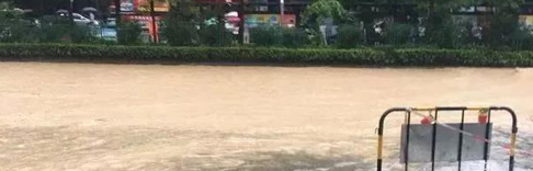 廣東一天三起疑觸電身亡事件,市電路燈安全隱患值得思考
