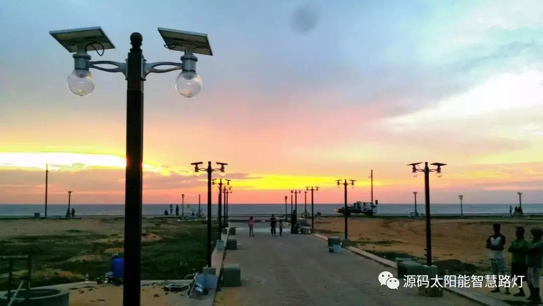 總統、發展局主席齊齊發聲,源碼火遍這個國家