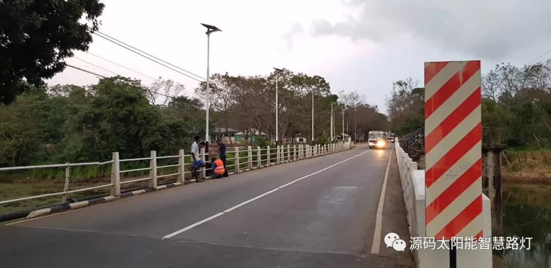 總統、發展局主席齊齊發聲,源碼火遍這個國家