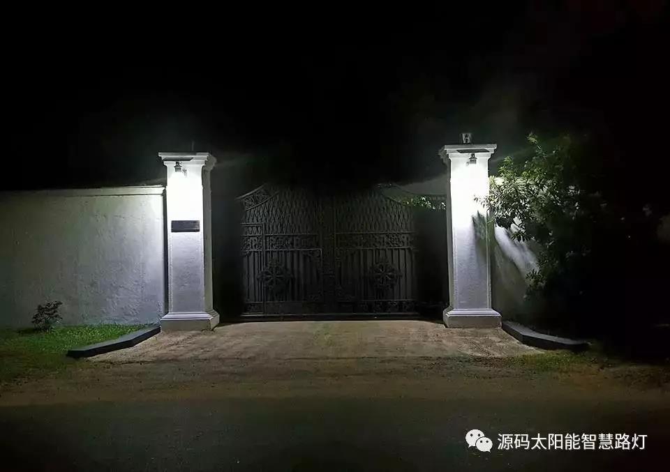 總統、發展局主席齊齊發聲,源碼火遍這個國家