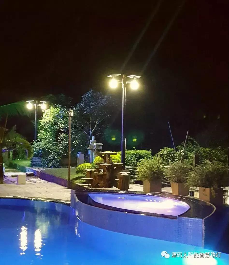 總統、發展局主席齊齊發聲,源碼火遍這個國家