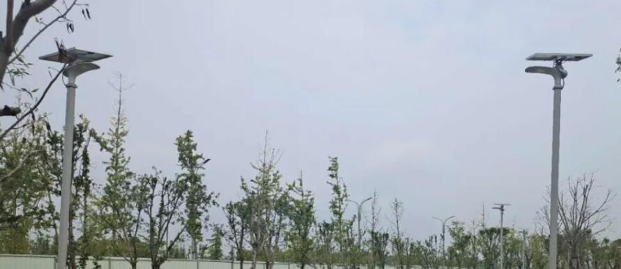 晴空排云雁高飛,源碼項(xiàng)目掀熱潮