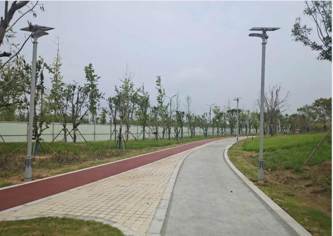 晴空排云雁高飛,源碼項目掀熱潮