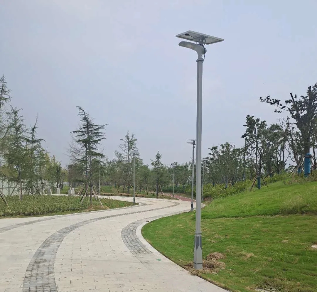 晴空排云雁高飛,源碼項目掀熱潮