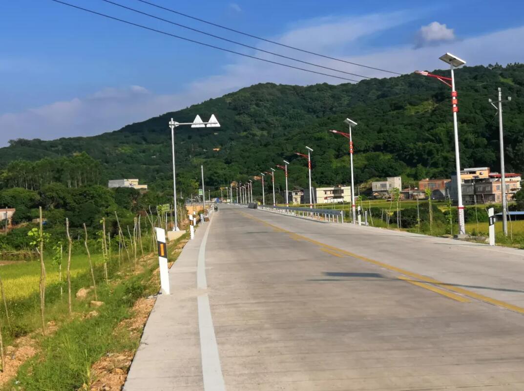 晴空排云雁高飛,源碼項目掀熱潮