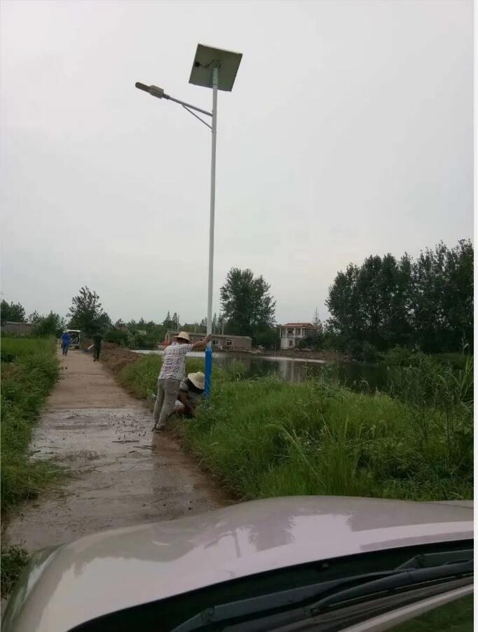 晴空排云雁高飛,源碼項目掀熱潮