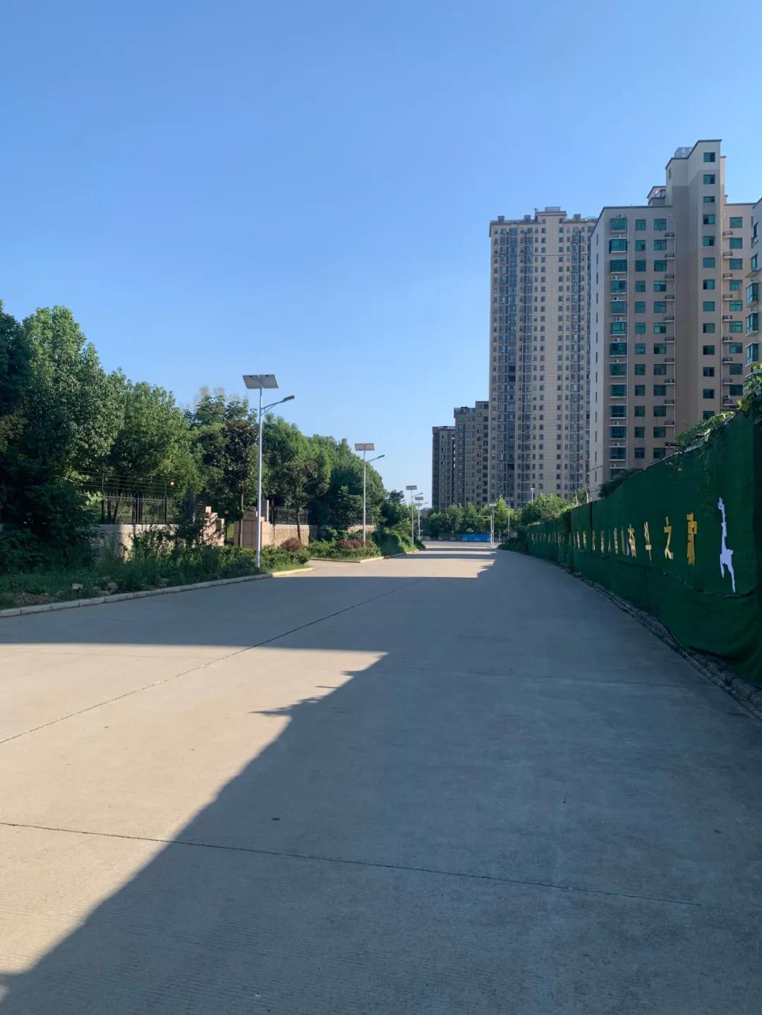 云鵬燈〡九萬里風安稅駕,云鵬今悔不卑飛