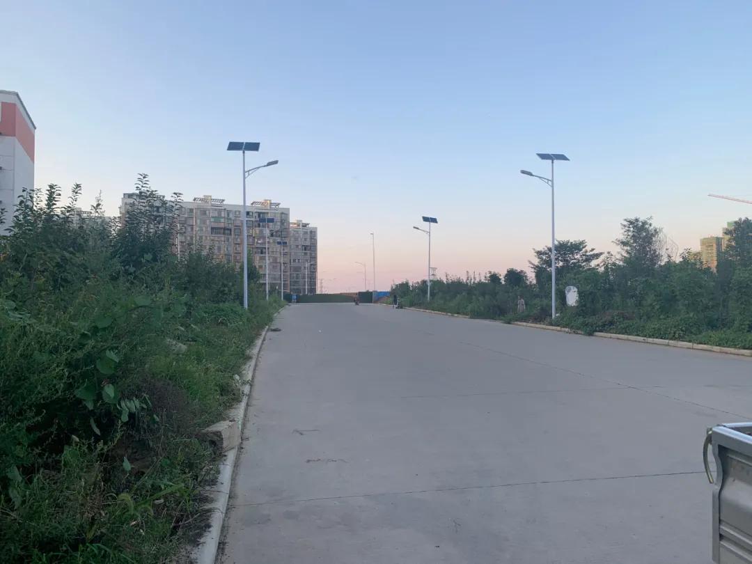 云鵬燈〡九萬里風安稅駕,云鵬今悔不卑飛