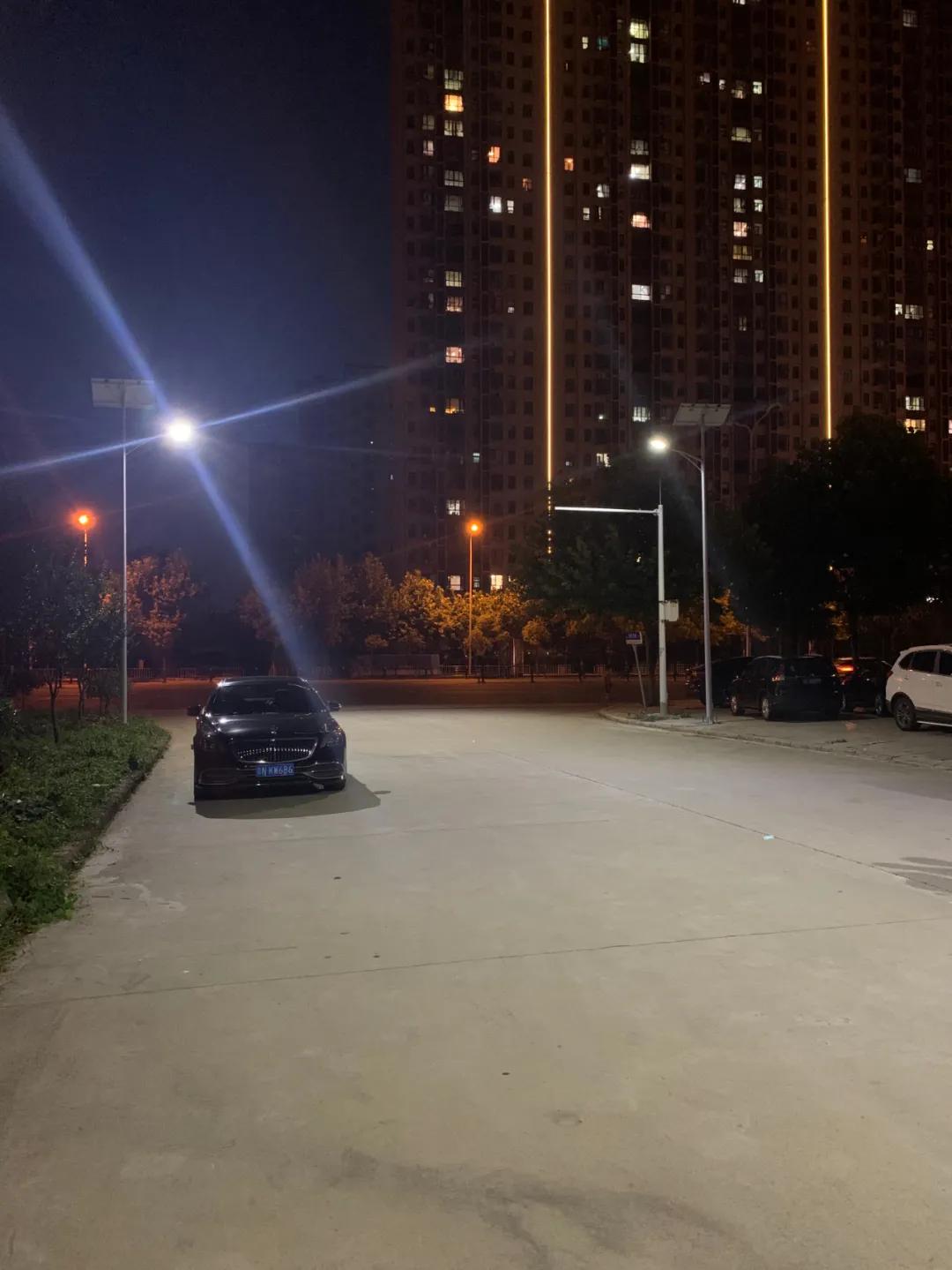 云鵬燈〡九萬里風安稅駕,云鵬今悔不卑飛