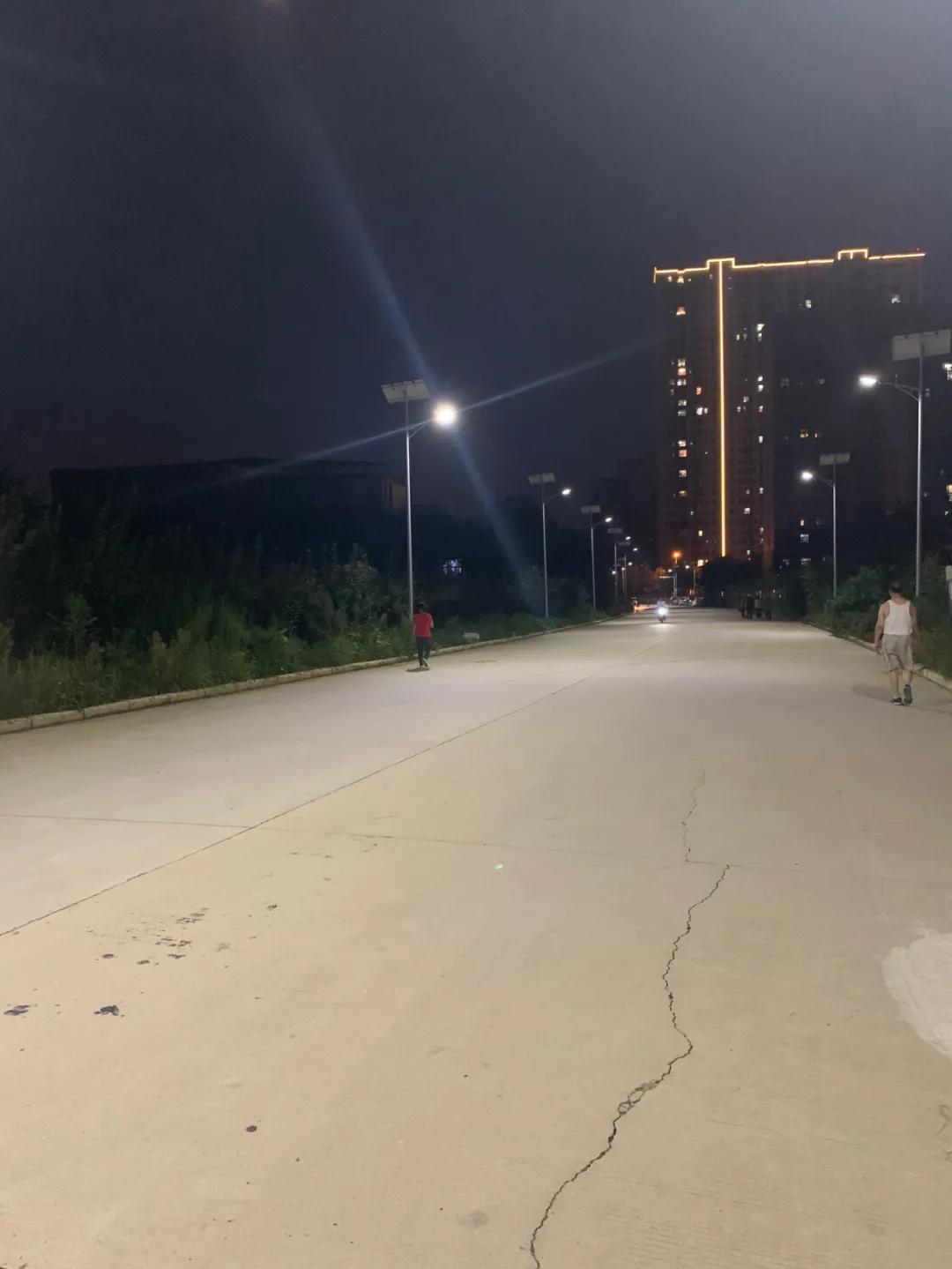 云鵬燈〡九萬里風安稅駕,云鵬今悔不卑飛