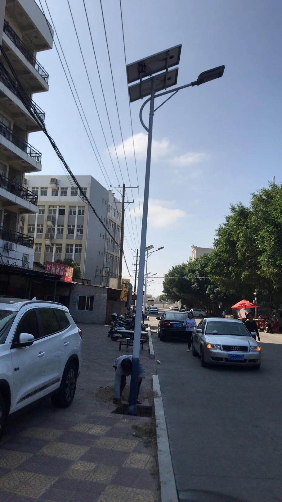 云鵬燈〡九萬里風安稅駕,云鵬今悔不卑飛