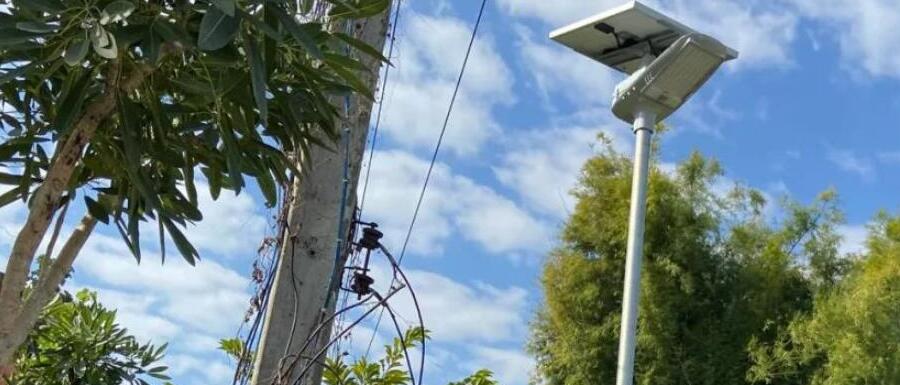 案例賞析〡2022迎新春,源碼項目掀熱潮